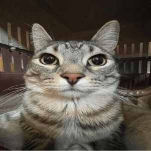 Meet your Posher, Ignacio